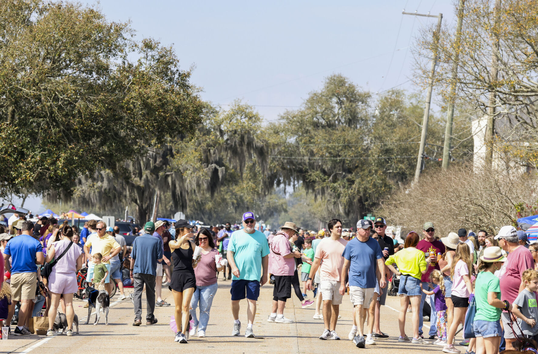 Krewe Du Pooch parades in Mandeville Photos