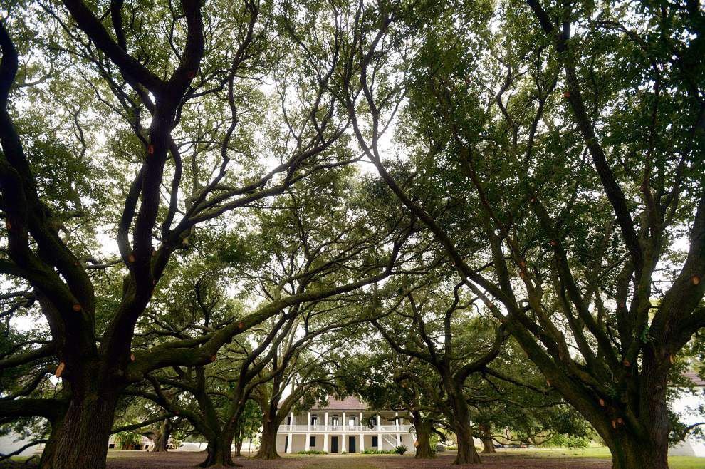 New Orleans lawyer transforms Whitney Plantation into powerful slavery museum | News | 0