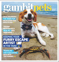 Gambit's 2021 Summer Pet Photo Contest | Presented by Metairie Small Animal Hospital