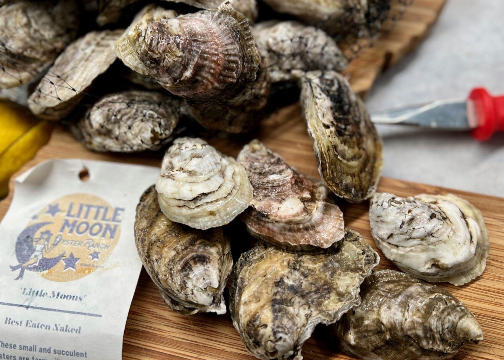 New Orleans fish market, oyster delivery for fresh seafood Where NOLA