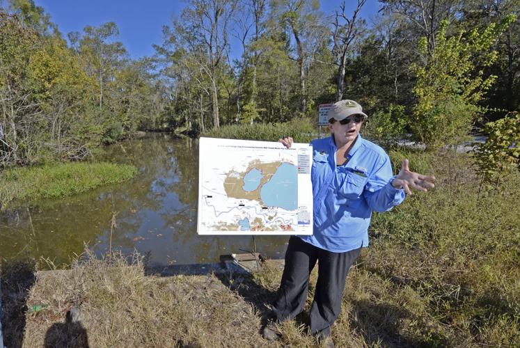 Conservationists urge action by Louisiana to restore, protect critical Maurepas Swamp