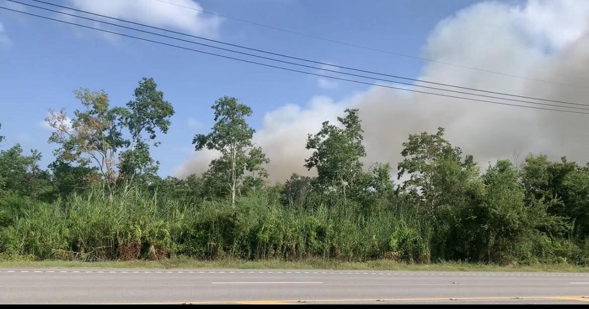 St. Tammany issues burn ban as fire risk soars One Tammany