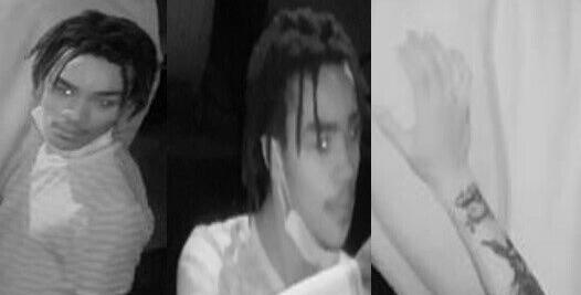 'Unnatural sex acts' with horses suspected in City Park stables; lone man wanted - Vimarsana News