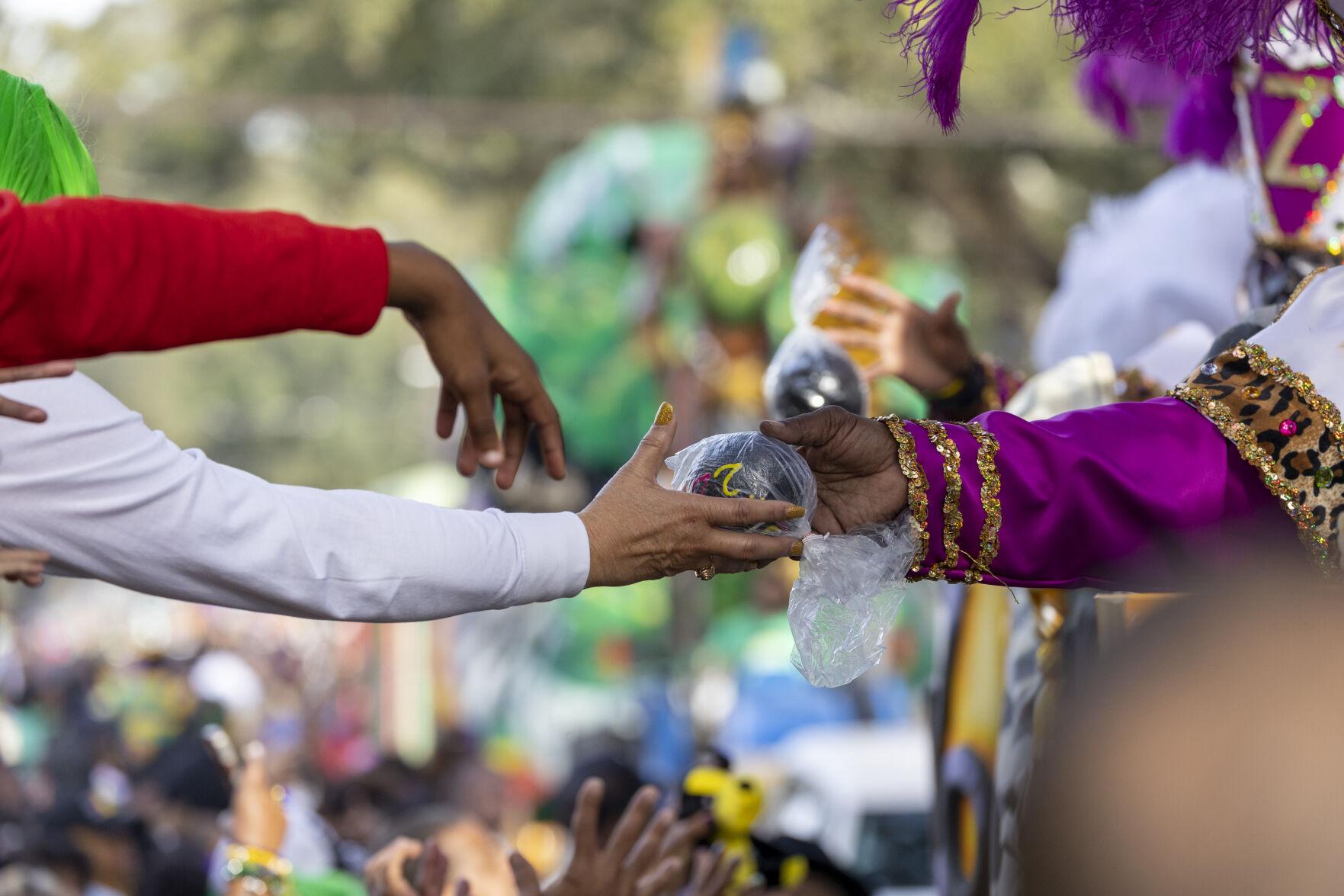 mardi gras zulu coconuts