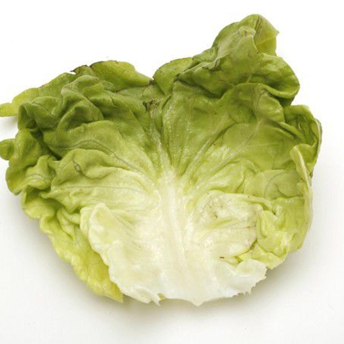 How To Grow A Salad 32 Lettuce Cultivars To Plant Now Home Garden Nola Com How To Grow A Salad 32 Lettuce Cultivars To Plant Now Home Garden Nola Com