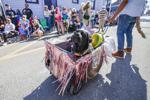 Barkus Parade 06.jpg