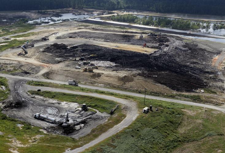 One Man's Trash Was River Birch on the losing side of a 1999 landfill