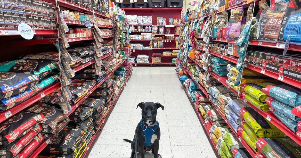 Louisiana’s Pet Food Secret: Economic Power, Local Jobs, and a Global Reach | Sponsored: Louisiana Commercial Fisheries Coalition LLC