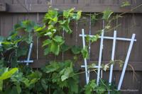 New Orleans East house embraces the lakefront lifestyle (copy)