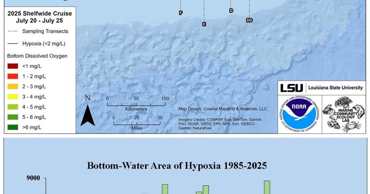 Gulf 'dead zone' nearly size of Connecticut this summer. Some money to help address it may be cut.