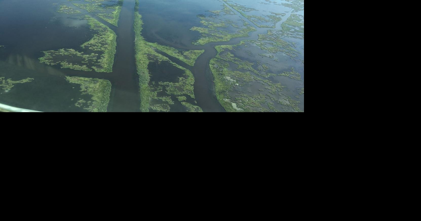 Ruling could result in trials against oil majors over Louisiana wetlands damage