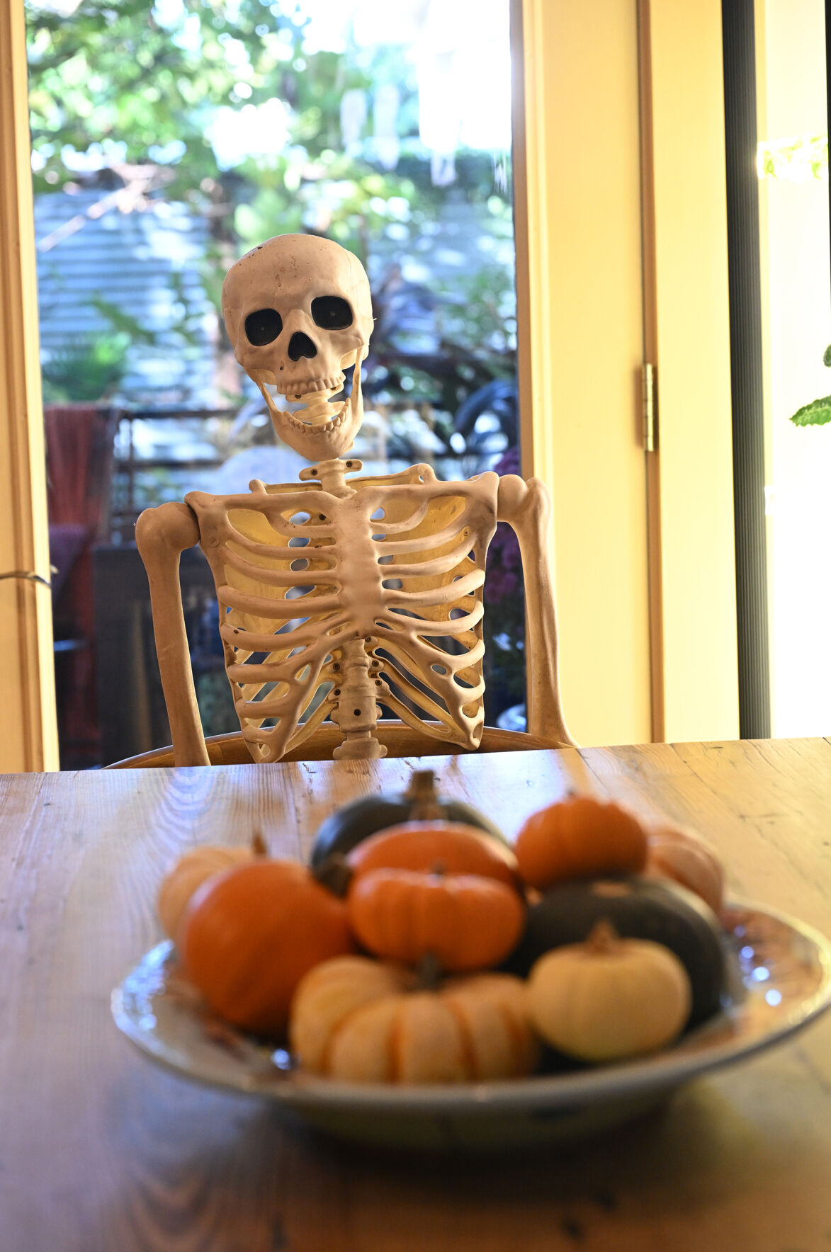 NO.Halloween.io.102525 | | nola.com