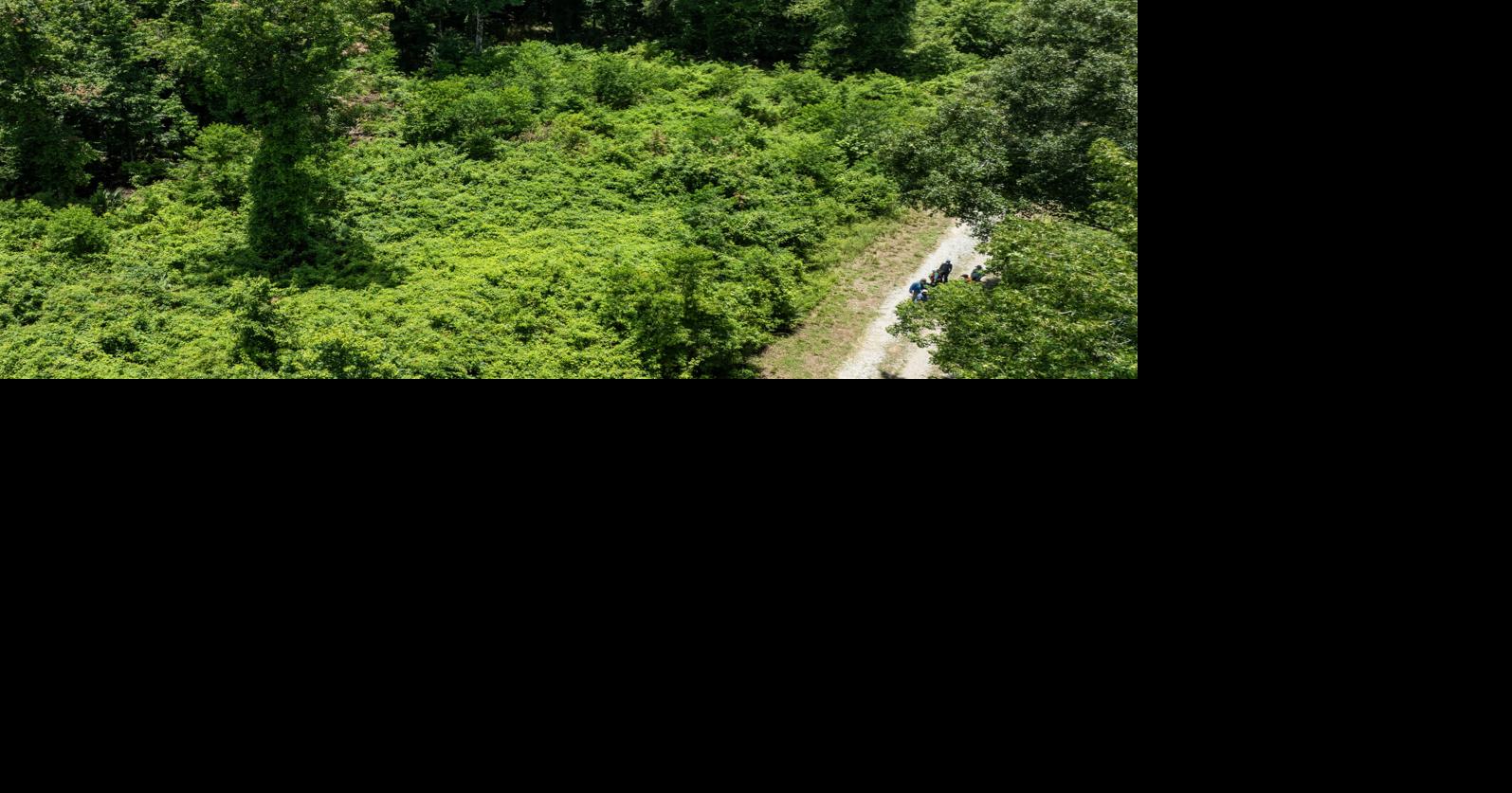 Letters: A landowner’s case for Louisiana’s economic future