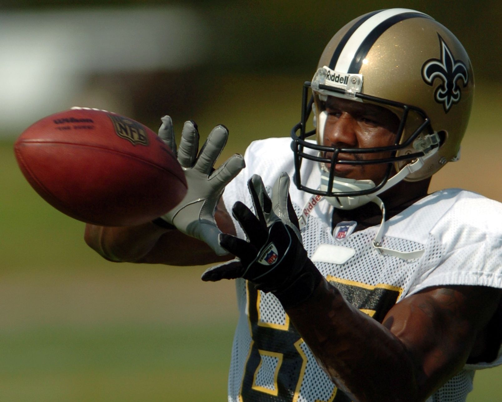 Former Saints receiver Joe Horn pleads guilty to defrauding NFL retirees'  health care plan | Crime/Police | nola.com