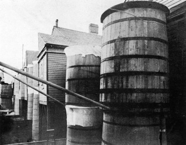 How New Orleans cured itself of yellow fever 300 for 300