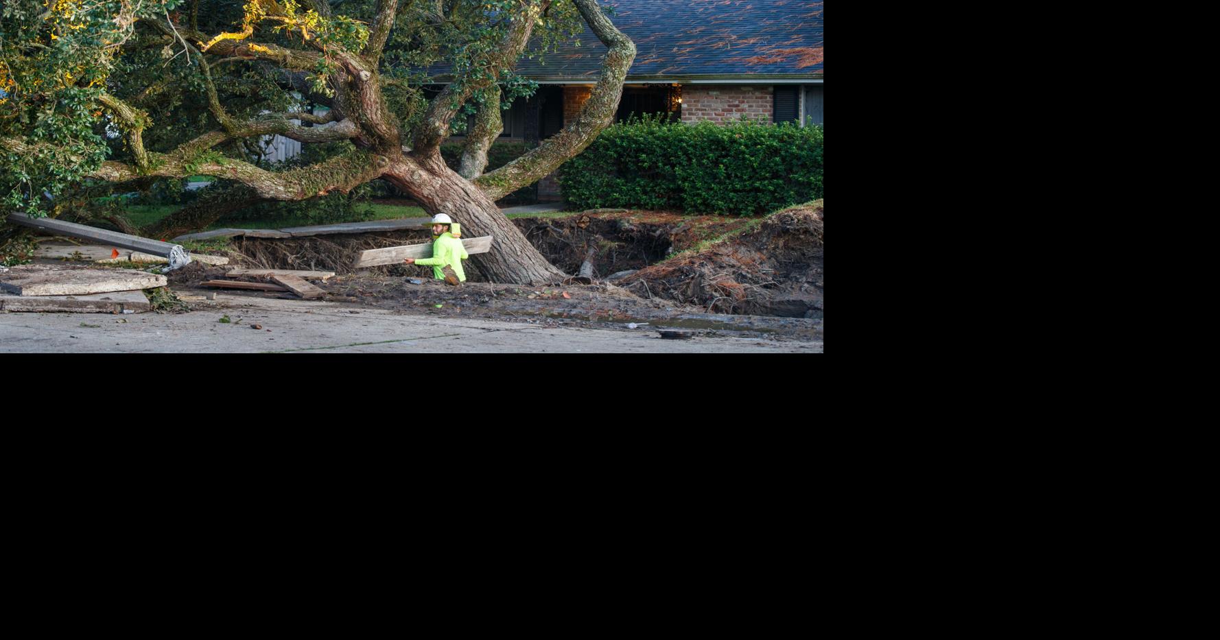 Photos: Water main leak causes tree and yard to collapse in the New Orleans Lake Terrace neighborhood