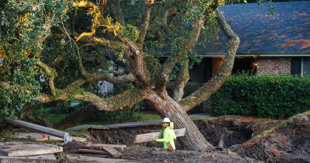 Photos: Water main leak causes tree and yard to collapse in the New Orleans Lake Terrace neighborhood