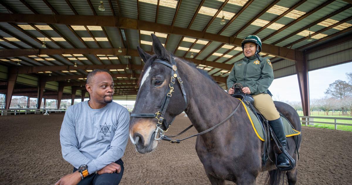 New Orleans sheriff must learn to ride a horse by Mardi Gras | Mardi Gras New Orleans sheriff must learn to ride a horse by Mardi Gras | Mardi Gras