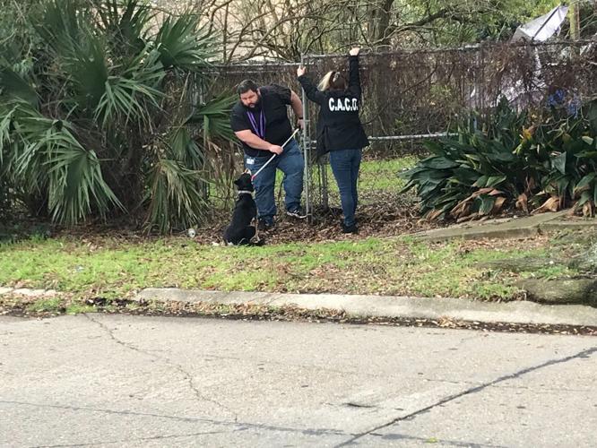 Authorities identify family killed in Harvey murdersuicide Crime