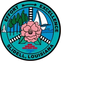 Voters to decide seven charter changes on Dec. 12