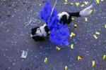Barkus Parade 34.jpg