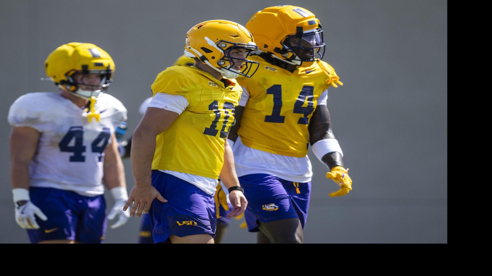 LSU's Trey'Dez Green, Sam Leavitt explain why they're excited to play with former NFL TE Dae'Quan Wright