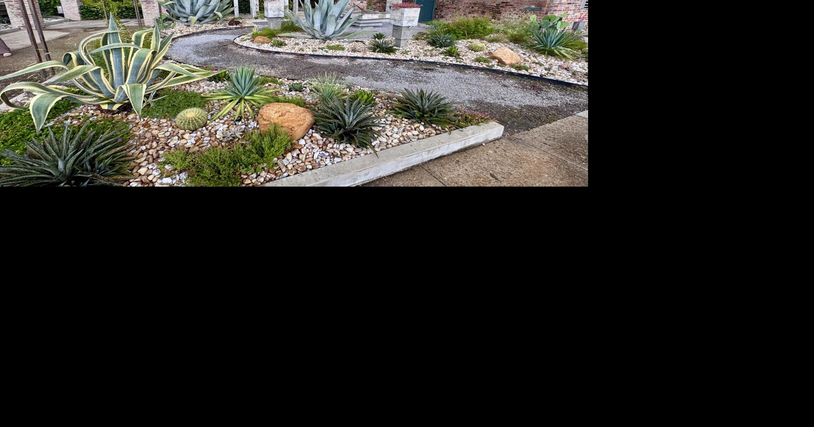 New Orleans home and garden events for early September 2026