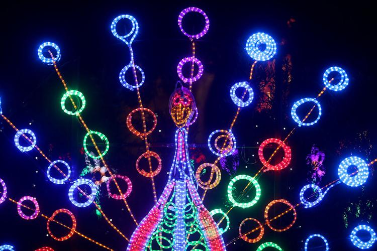 Celebration in the Oaks 2018 preview