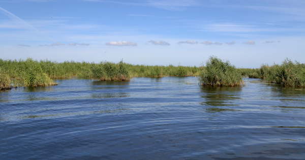 A controversial study spoke of retreating from Louisiana coast. Researcher says work misunderstood.