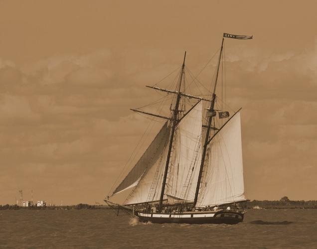 Artscape 'Local Visions' gives viewers a peek behind the lenses of