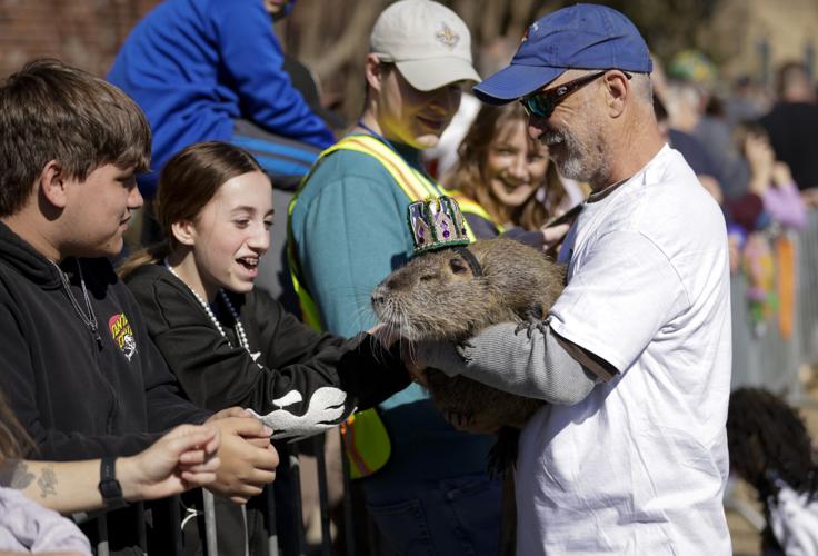 Nucha Rats Neuty, the beloved Bucktown nutria rat has died | News | nola.com