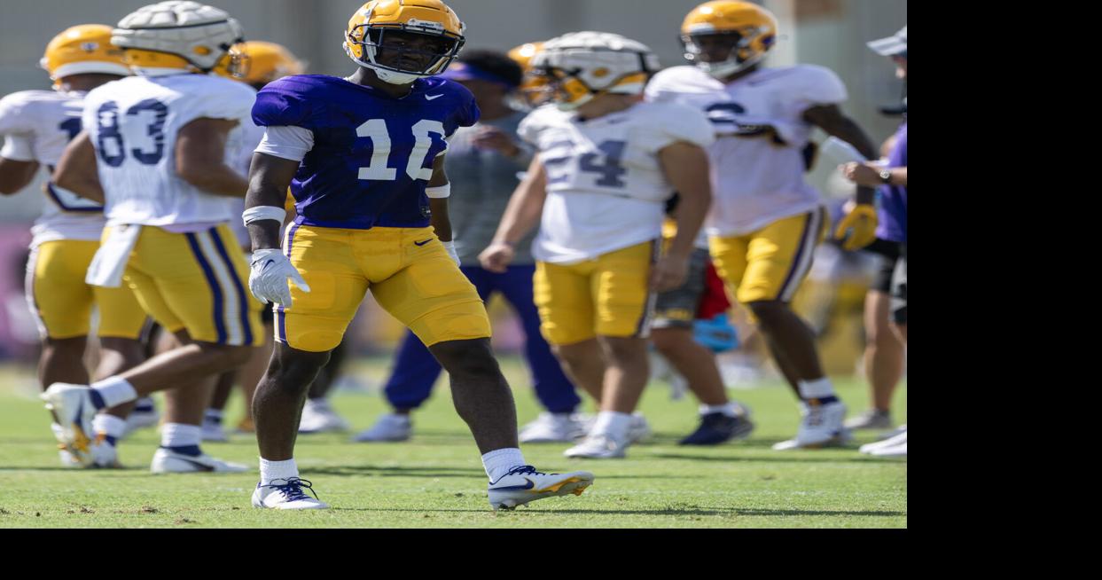 LSU cornerback Denver Harris enters the transfer portal | LSU | nola.com