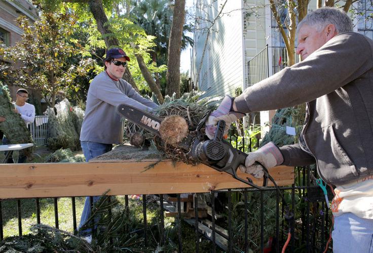 This week's gardening tips vegetables to plant in June and plant