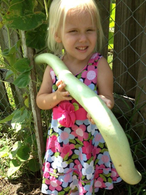 15 summer vegetables to plant now in South Louisiana gardens | Home