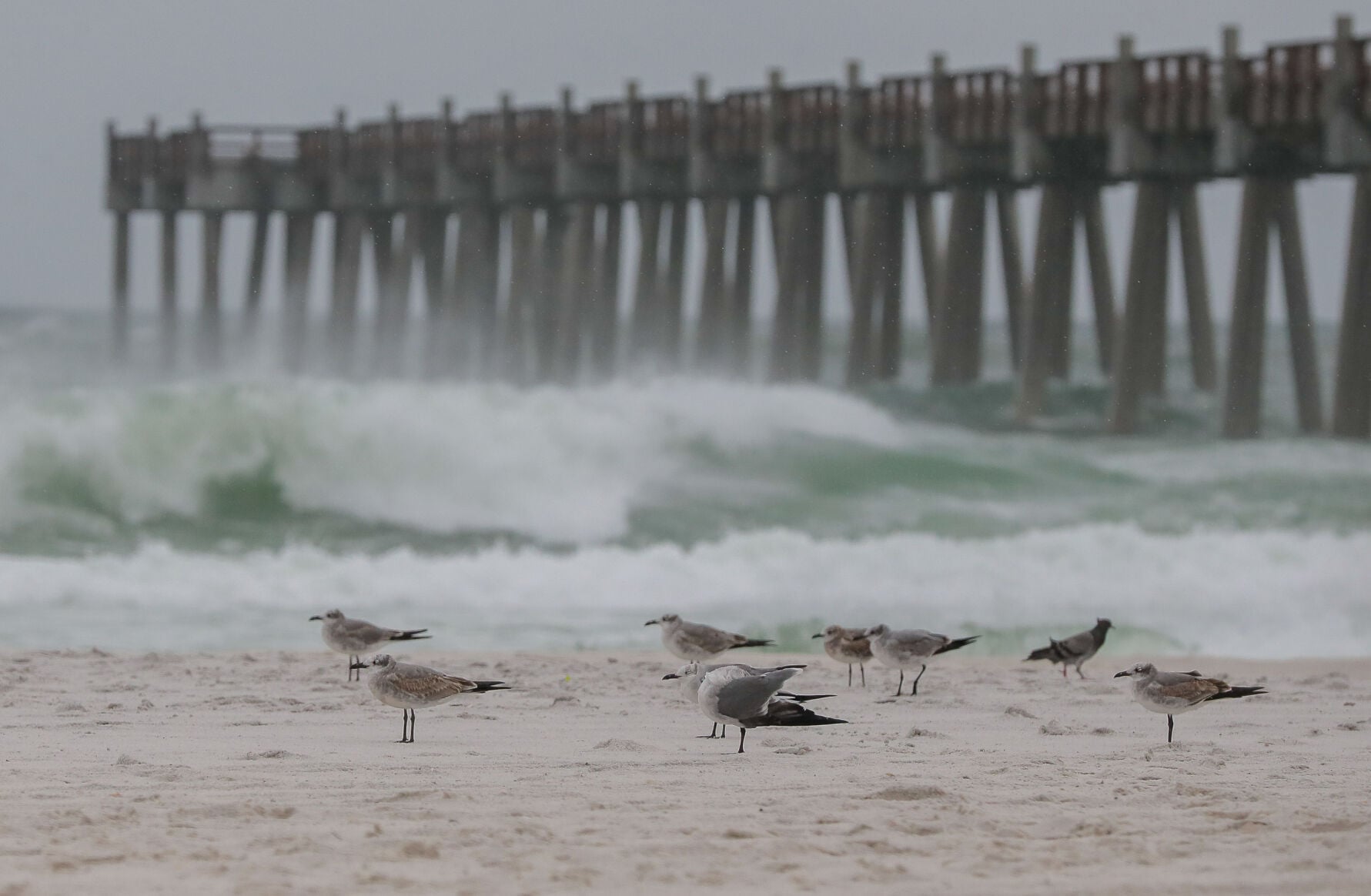 Hurricane Isaias could remain Category 3 at landfall | Hurricane Center ...