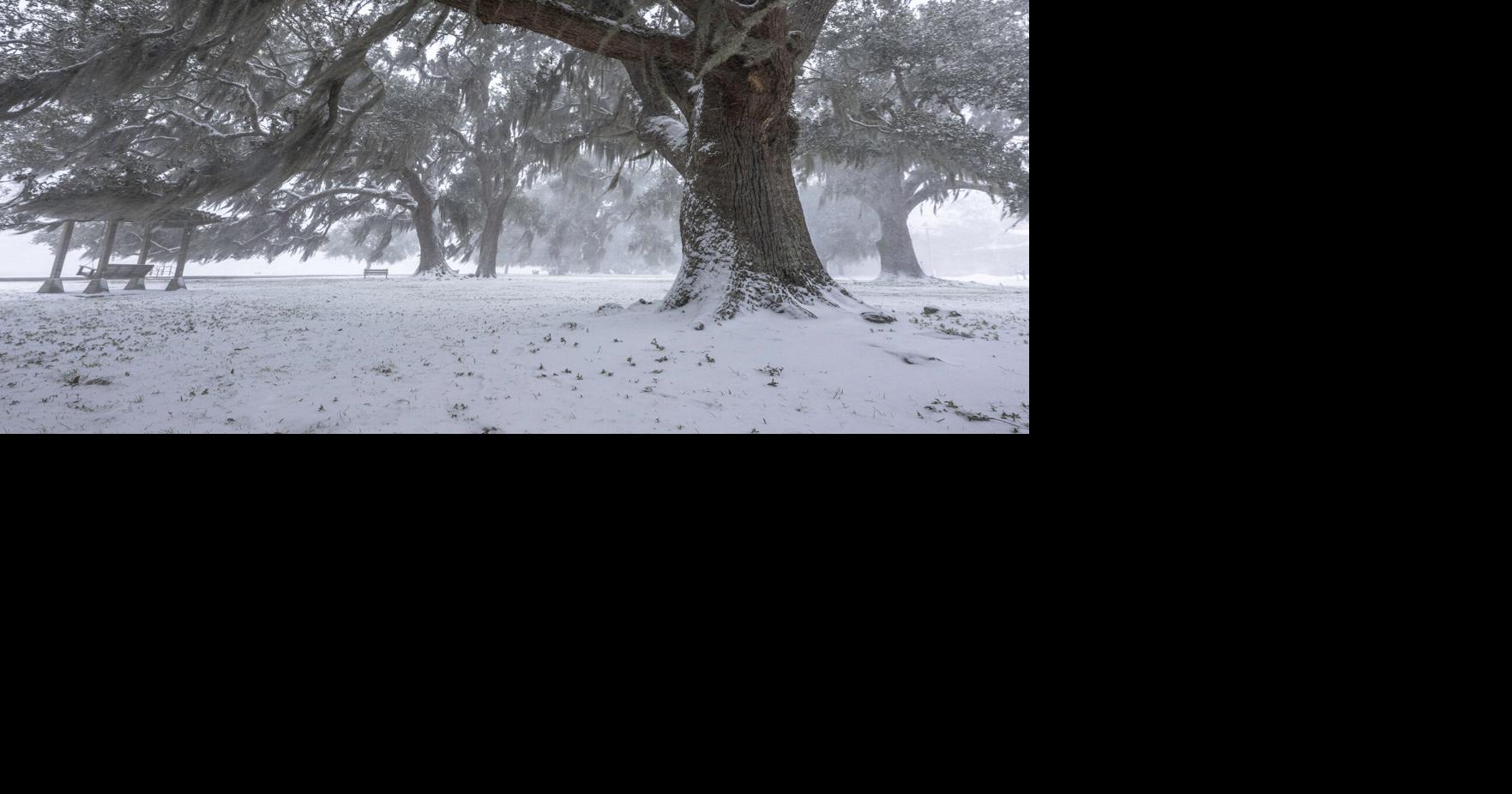 The St. Tammany Farmer's Top 10 stories of 2025