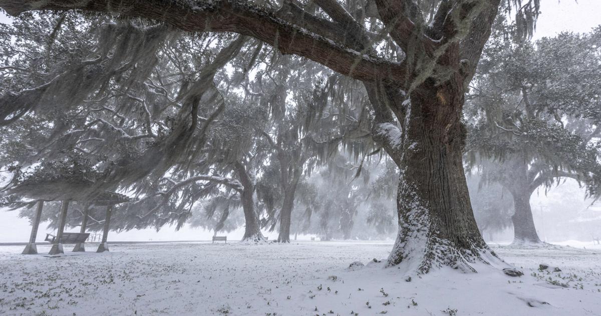 The St. Tammany Farmer's Top 10 stories of 2025
