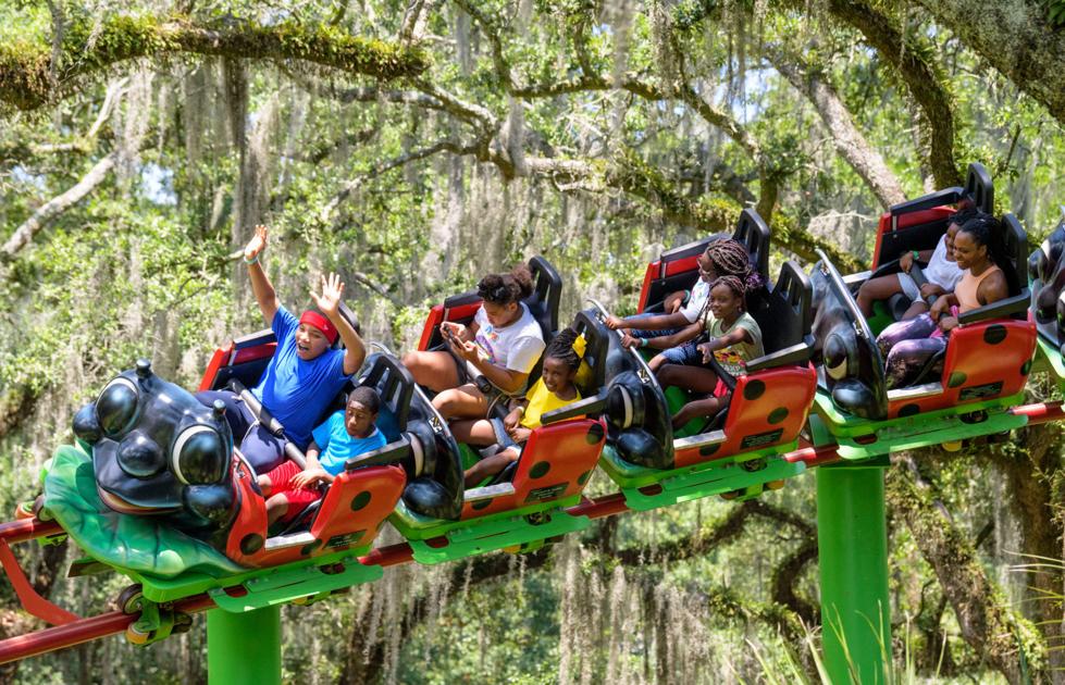 Summer camps in New Orleans A complete guide to find the right summer