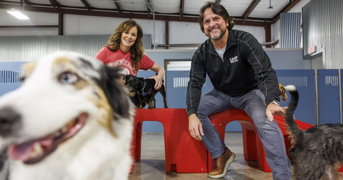 A rarity 25 years ago, dog day care is now a .7B industry | Innovation A rarity 25 years ago, dog day care is now a .7B industry | Innovation