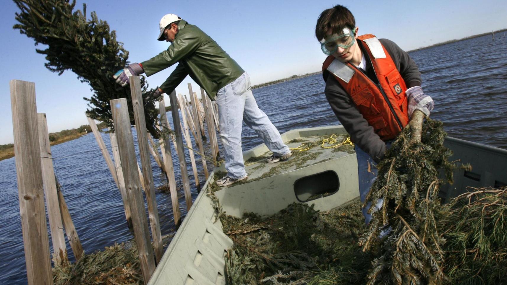 Here S The Schedule For Curbside Christmas Tree Recycling This Year News Nola Com Pomona Trash Christmas Tree Recycling 2021