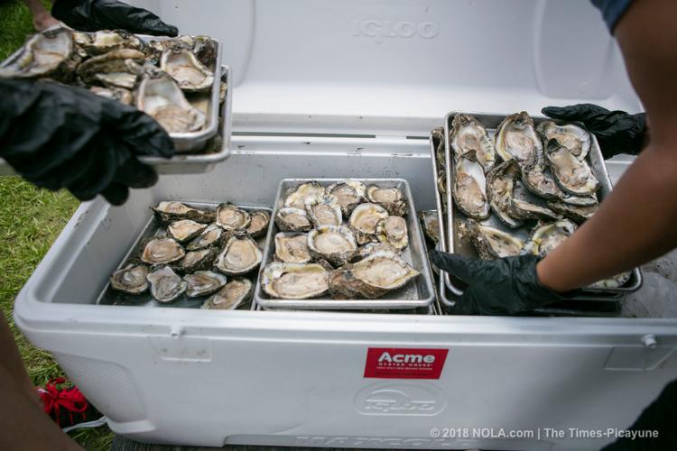 Could you eat 480 oysters in 8 minutes? The World Oyster Eating