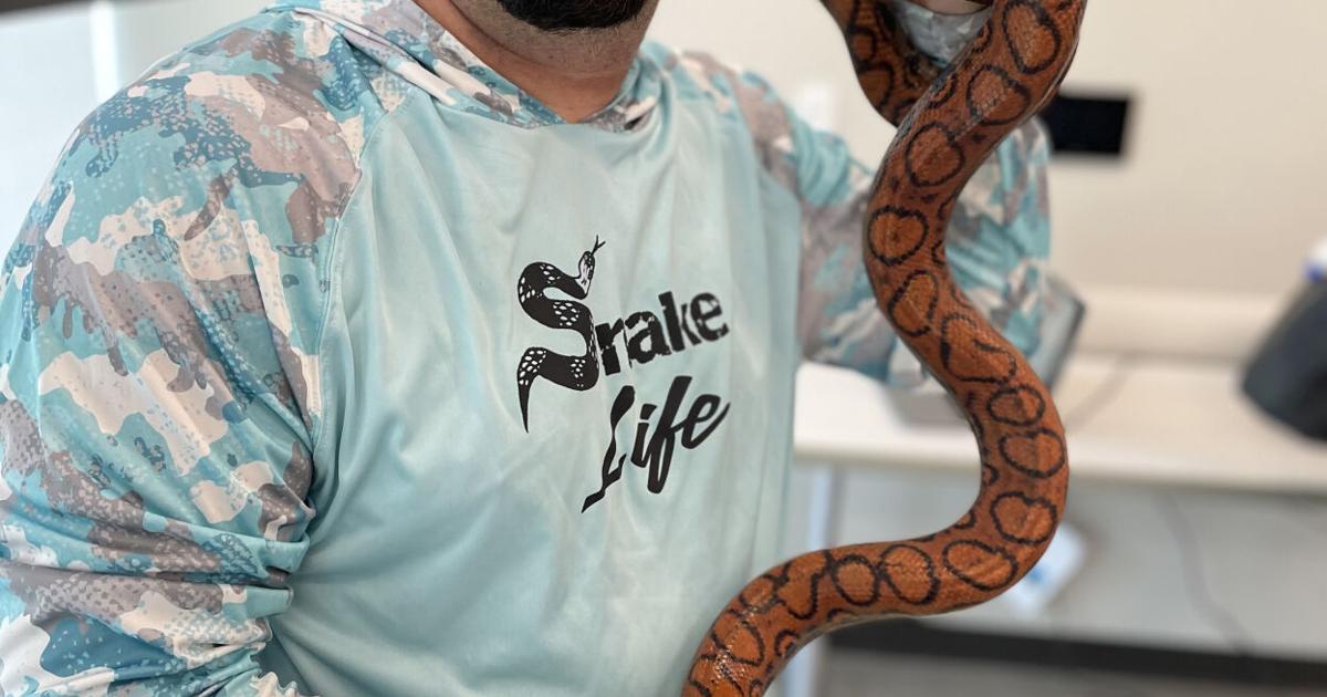 lt library snakes DS6.jpg | | nola.com