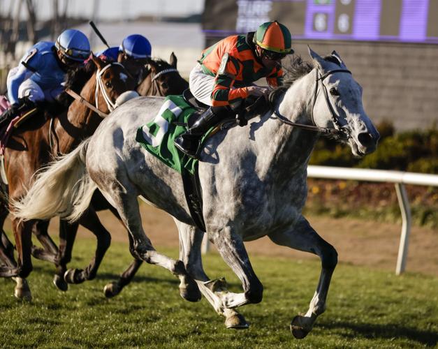 Track Phantom wins Stakes in road to Kentucky Derby Horse