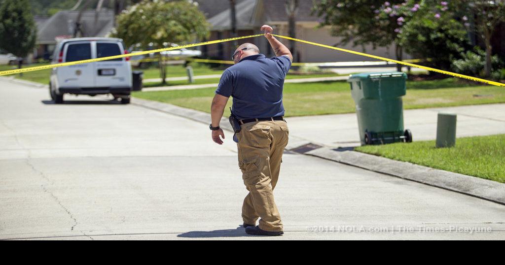 Destrehan man pleads insanity in girlfriend's stabbing death, newspaper