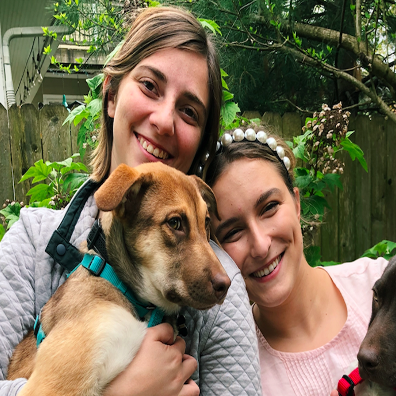 Animal Adoptions Fosters Soar In New Orleans For Pandemic Pets