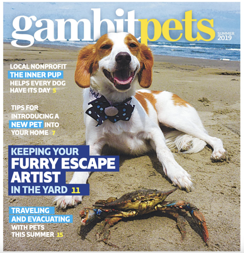 Gambit Pet Photo Contest