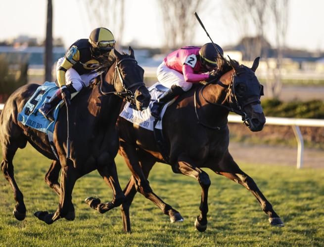 Track Phantom wins Stakes in road to Kentucky Derby Horse