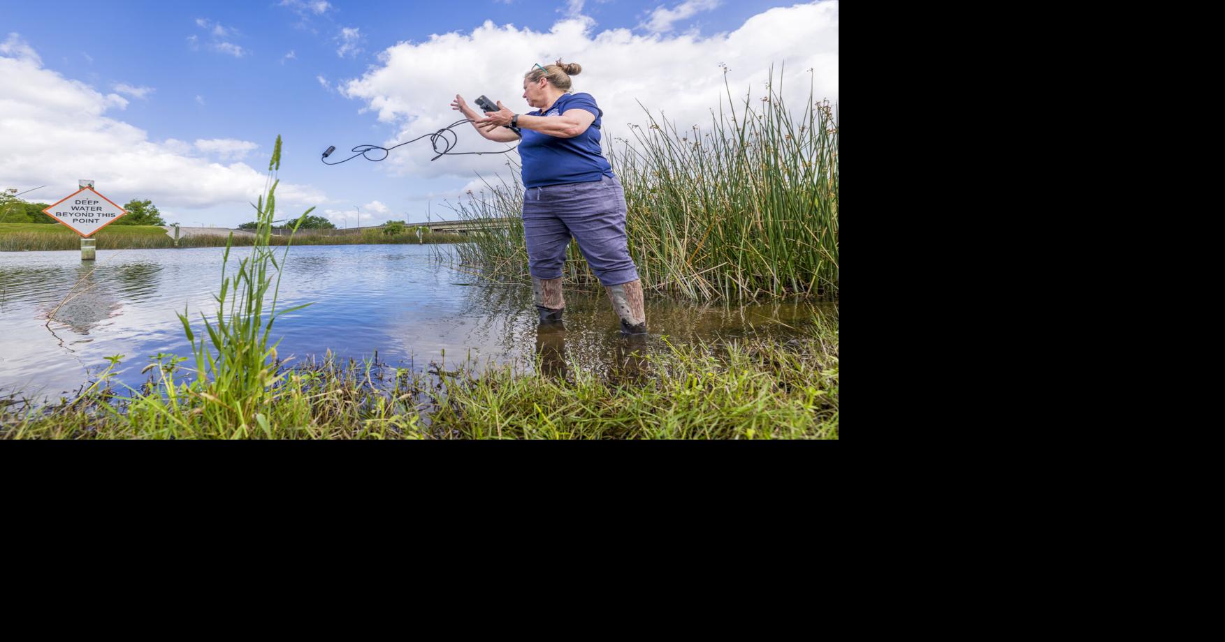 This old bayou helps define New Orleans. A new project is checking on its health.