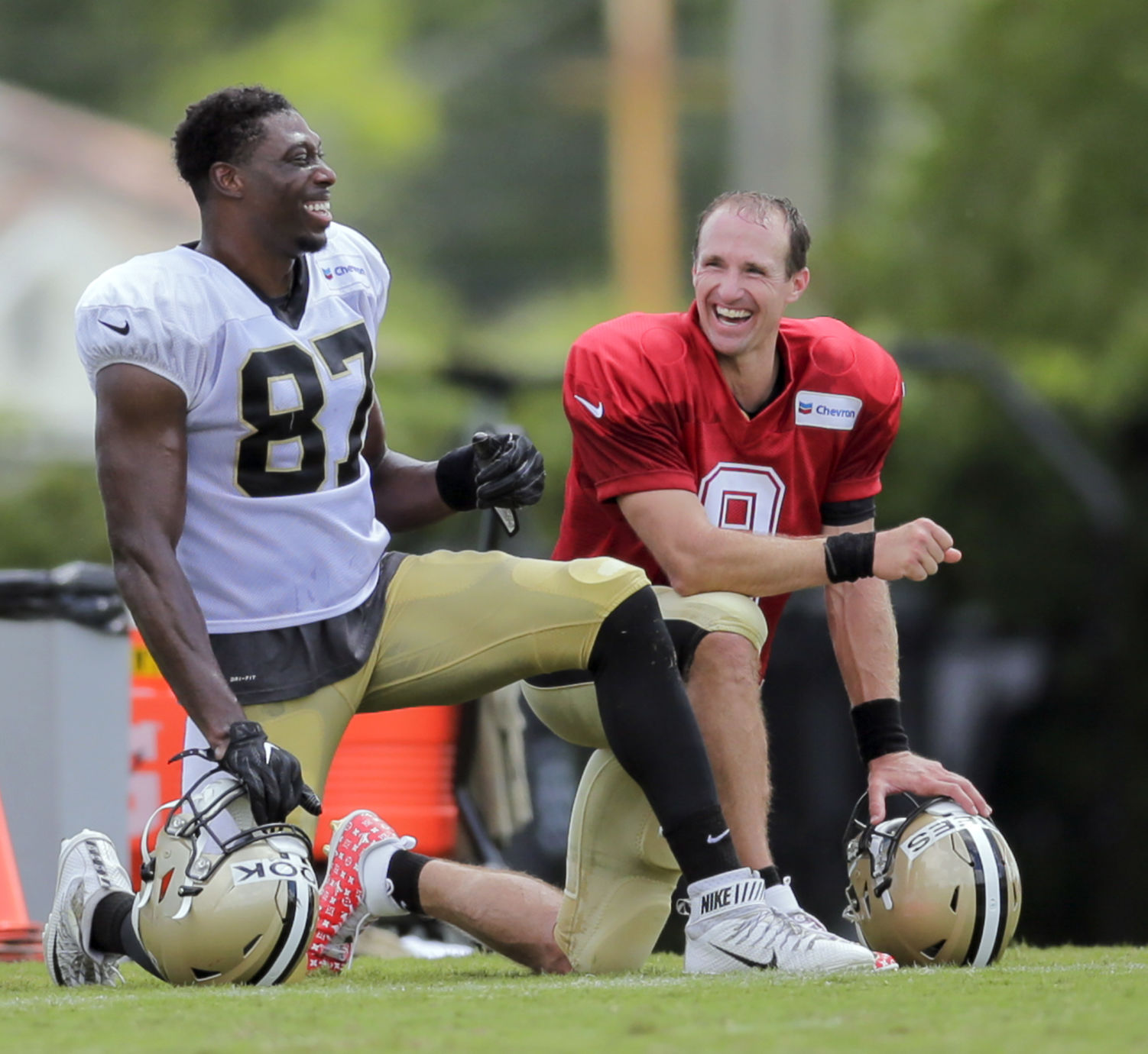 jared cook