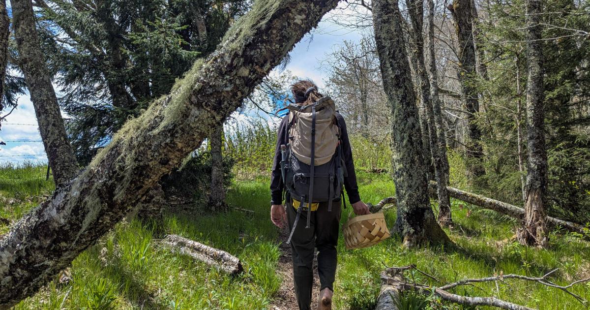As trails and mountain attractions return, North Carolina county hopes visitors follow suit